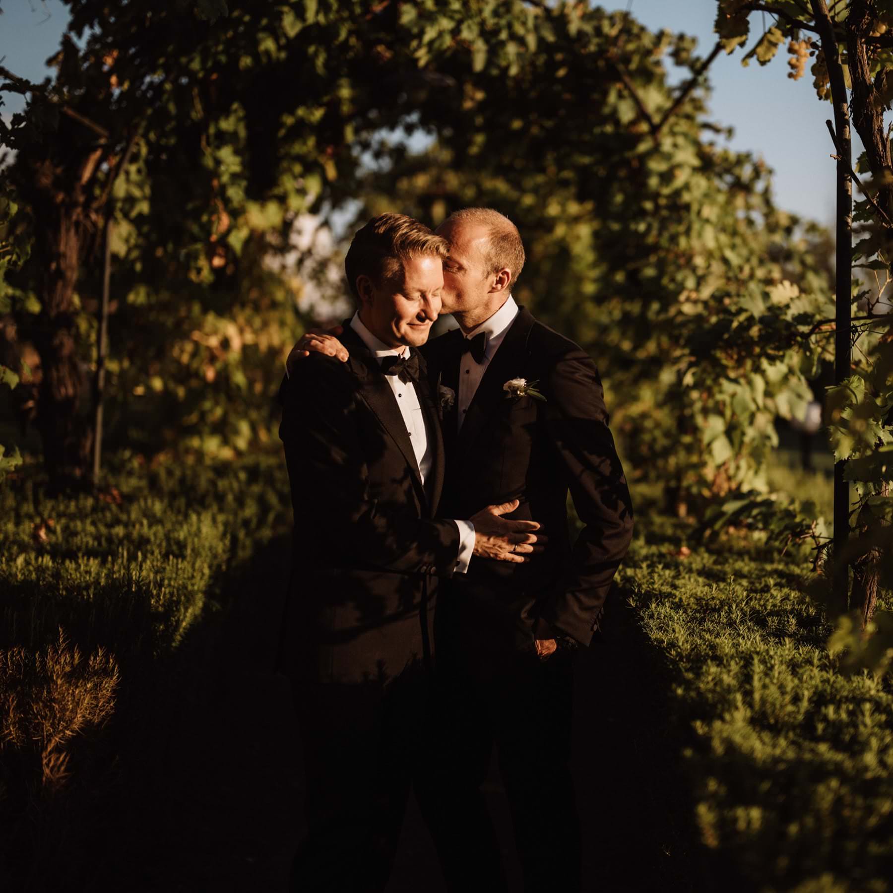 Under a sunlit, leafy archway at Certosa di Pontignano in Tuscany, two tuxedo-clad partners share an intimate moment. One kisses the others temple, both smiling amidst the lush greenery of their same-sex wedding, with a soft glow enhancing the scenes warmth and beauty. Tuscan Wedding Photographer